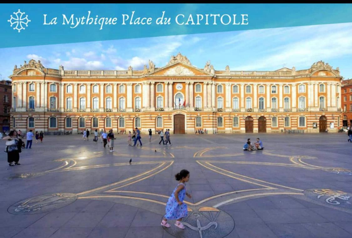 L Oasis Studio Proche Hopital Et Aeroport Piscine Parking &Netflix Toulouse Luaran gambar