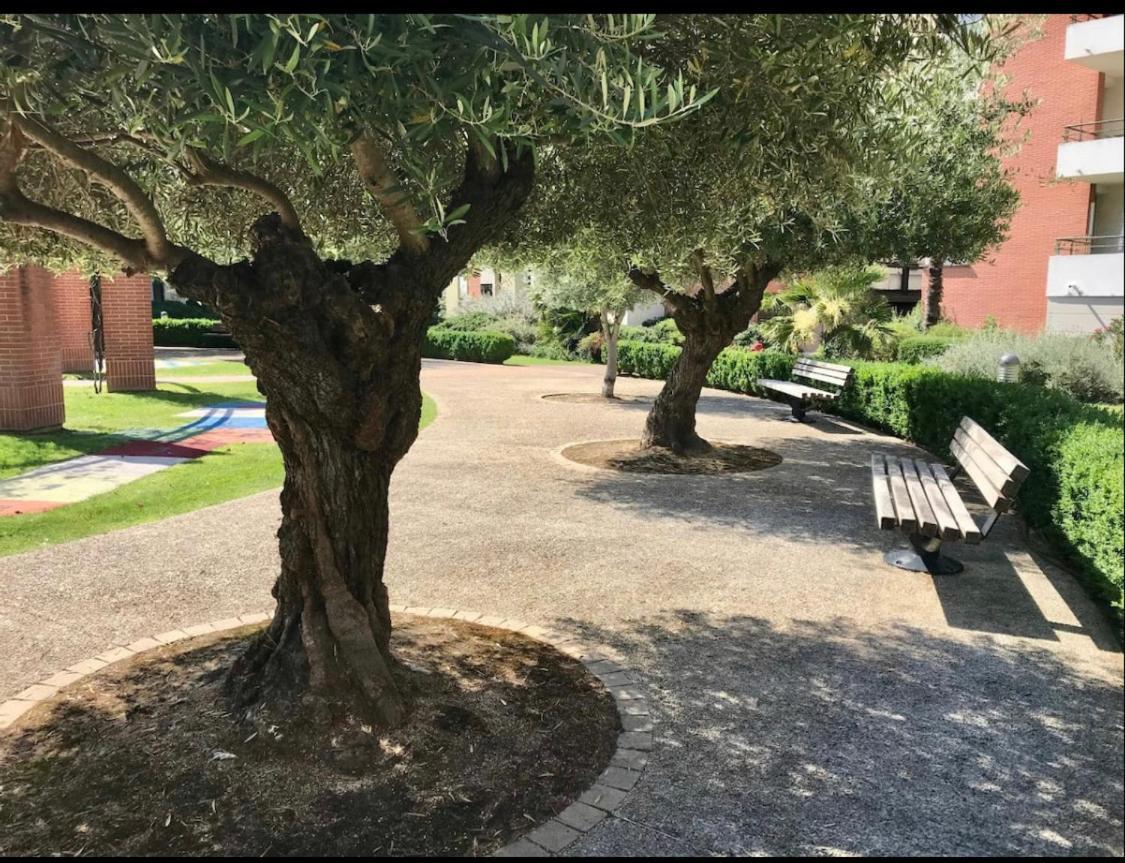 L Oasis Studio Proche Hopital Et Aeroport Piscine Parking &Netflix Toulouse Luaran gambar